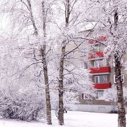 Bare trees in snow covered landscape