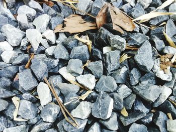 High angle view of stones
