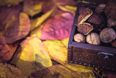 Close-up of autumn leaves with food on table