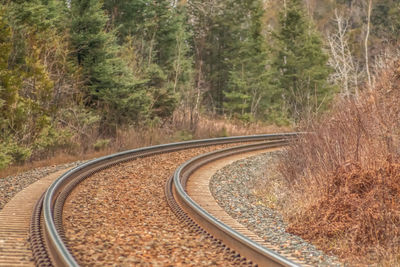 Railroad track passing through trees