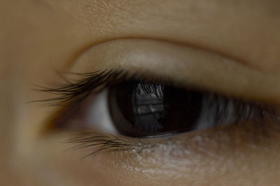 Close-up of human eye
