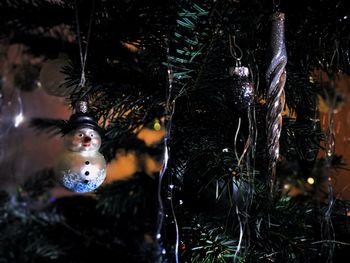 Close-up of christmas tree at night