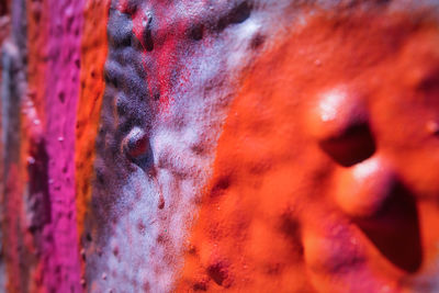 Close-up of red object