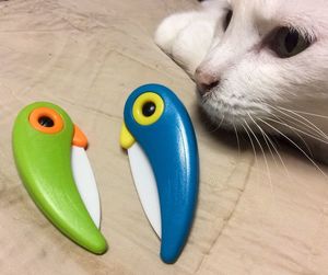 High angle view of cat toy