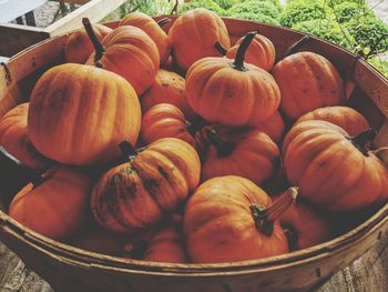 High angle view of pumpkins in container