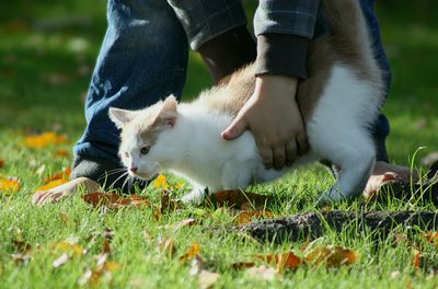 Low section of barefoot child with cat outdoors