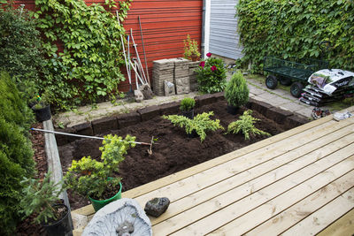 View of small garden