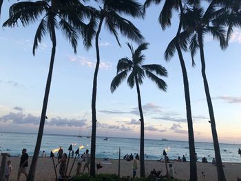 Palm trees on beach against sky