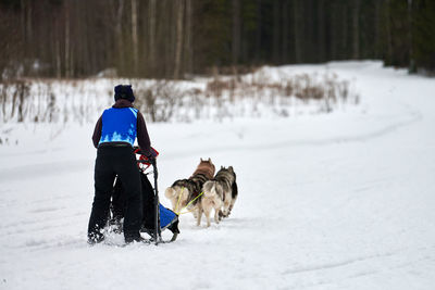 Rear view of dog on snow covered field