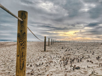 Wooden posts on beach against sky