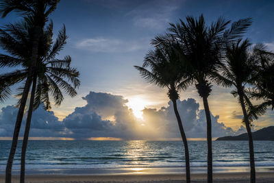 Palm trees on beach against sky during sunset