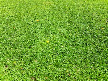 Full frame shot of soccer field