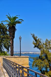 Palm trees by sea against clear blue sky