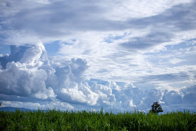 Scenic view of land against sky