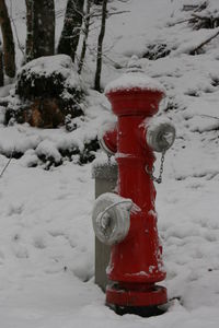 Close-up of fire hydrant during winter