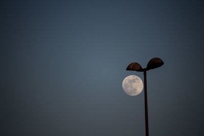 Low angle view of street light against sky at night