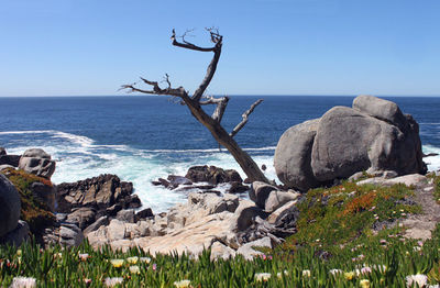 Scenic view of sea against clear sky