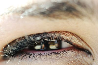 Close-up of woman eye