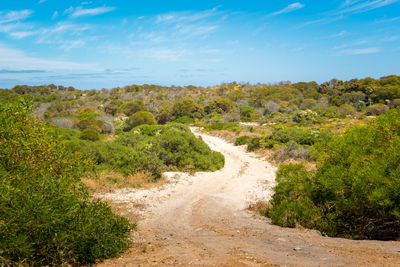 Dirt road amidst plants against sky