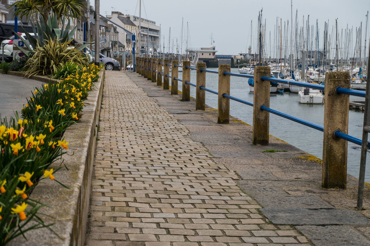 SCENIC VIEW OF STREET BY FOOTPATH