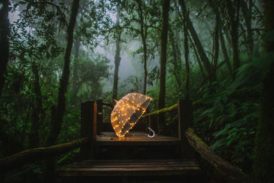 View of person on tree trunk in forest