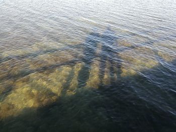 Reflection of sky on water