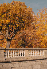 High angle view of plants during autumn