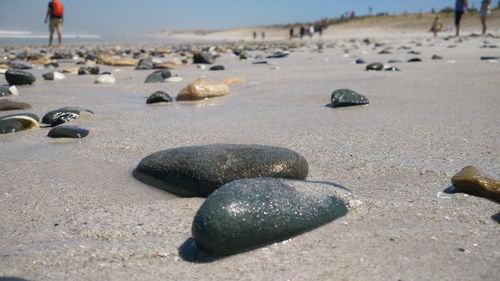 Close-up of stones on beach