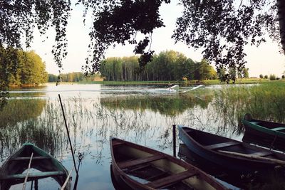 Boats moored in lake against trees