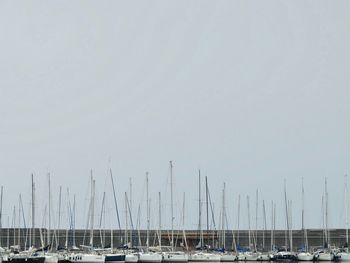 Sailboats moored on sea against clear sky