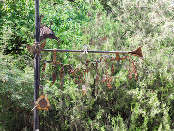 Bird on tree against plants