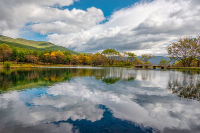 Scenic view of lake by trees against sky