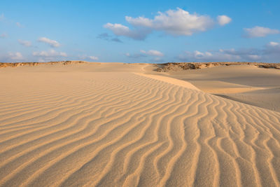 Sand at beach against sky