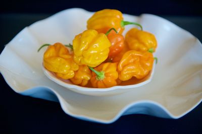 Close-up of served food in plate