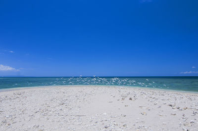 Scenic view of beach against clear blue sky