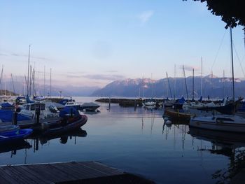 Sailboats moored in harbor at sunset