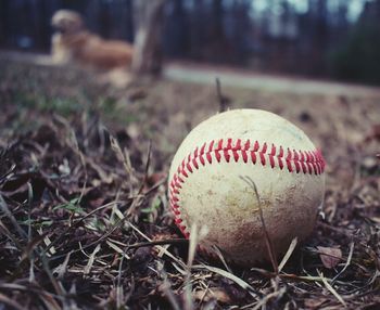 Close-up of ball on field