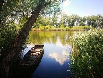 Scenic view of lake by trees against sky