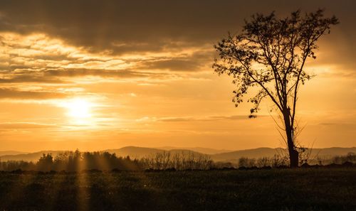 Scenic view of field against sky during sunset