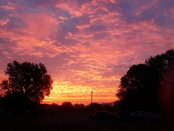 Silhouette trees against sky during sunset