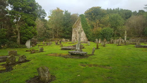 View of cemetery against trees