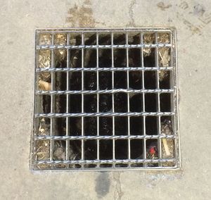 Close-up of metal grate