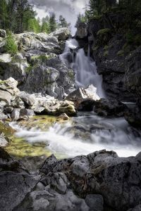 Scenic view of waterfall in forest