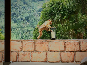 Side view of shirtless man standing against wall