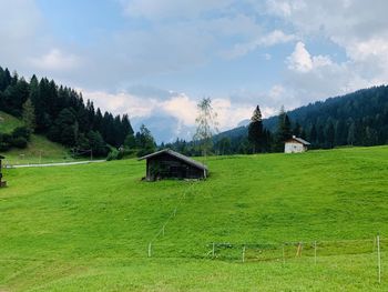 Scenic view of trees and houses against sky