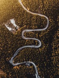 High angle view of ice cream over water