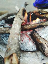 Close-up of bonfire on log