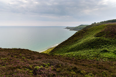 Panoramic view over cap frehel and fort la latte, brittany, france. atlantic ocean french coast