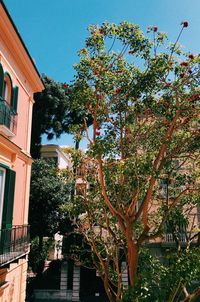 Low angle view of trees and building against sky