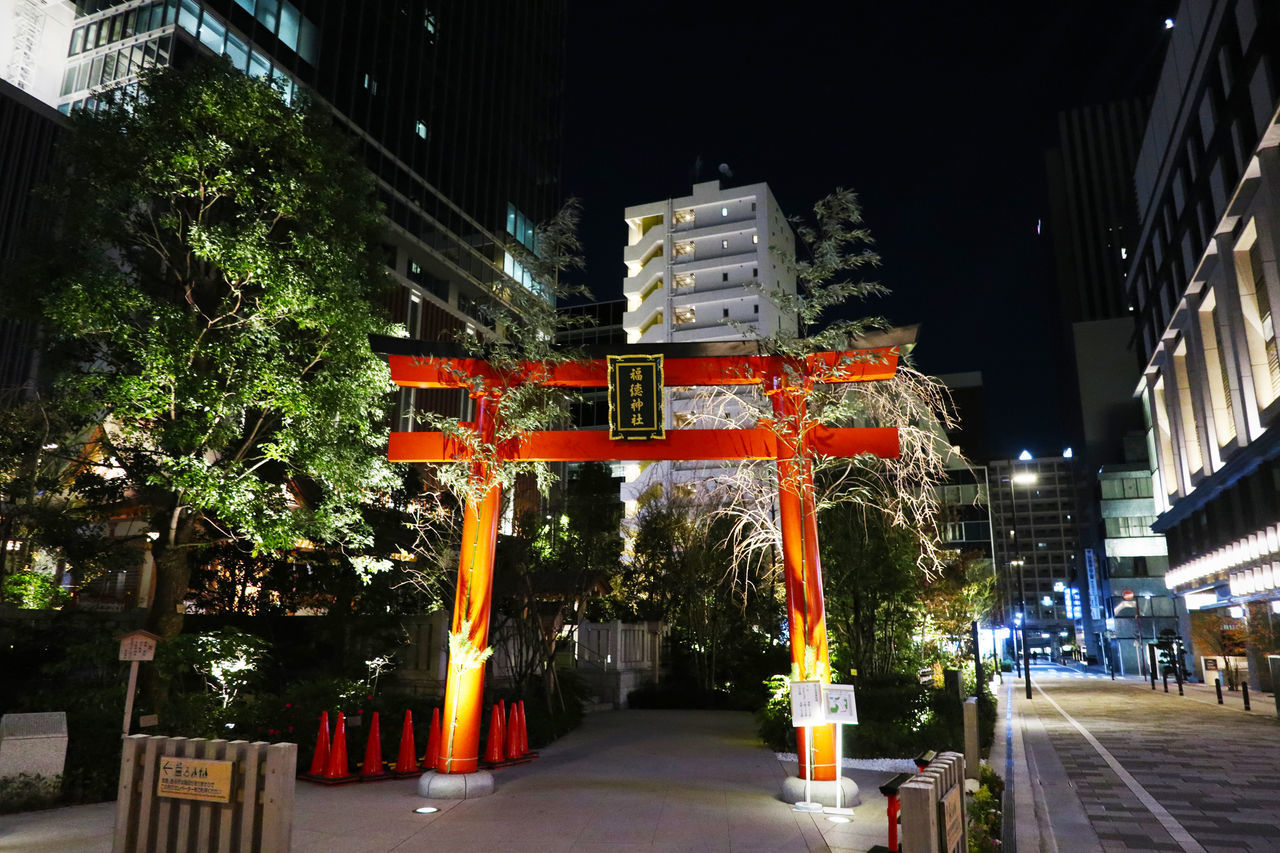 ILLUMINATED STREET AMIDST BUILDINGS AND TREES AT NIGHT